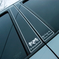 Накладки боковых стоек.   Hyundai  Santa Fe (2006-2010)