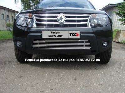 Решётка радиатора 12 мм на Renault (рено) Duster 2012 по наст. ― PEARPLUS.ru