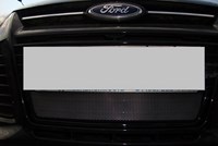 Защита радиатора Ford (Форд) Focus III chrome